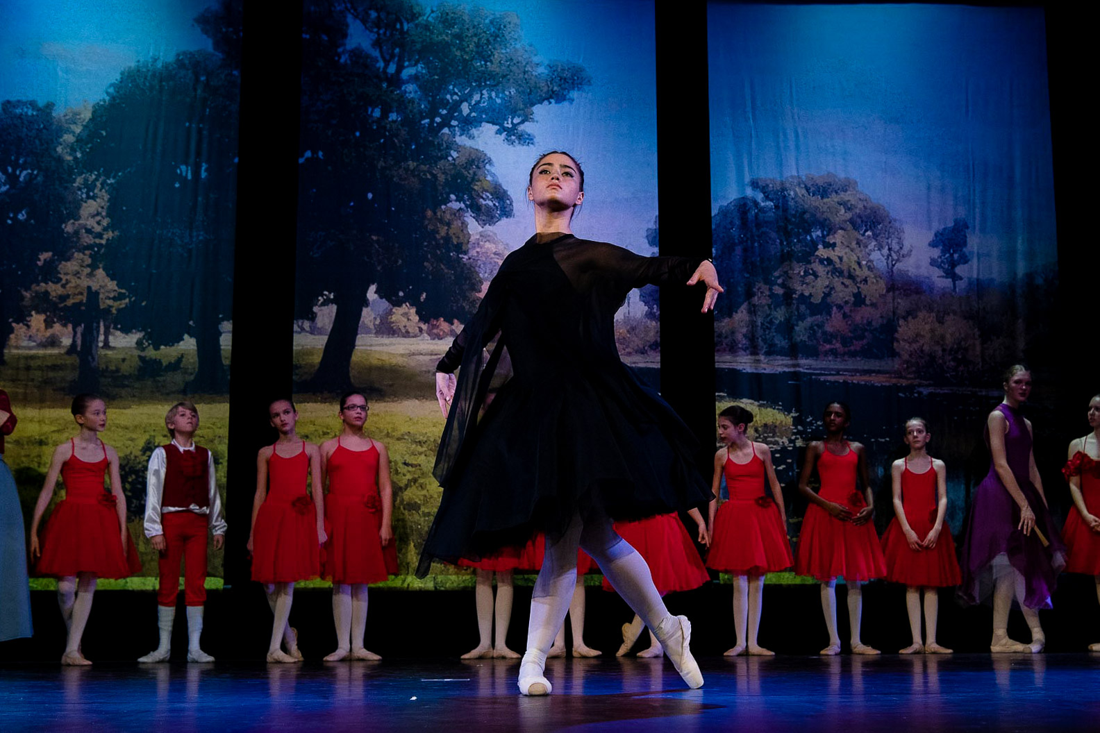 Le Papillon 2019   |   Foto - Mario Perricone