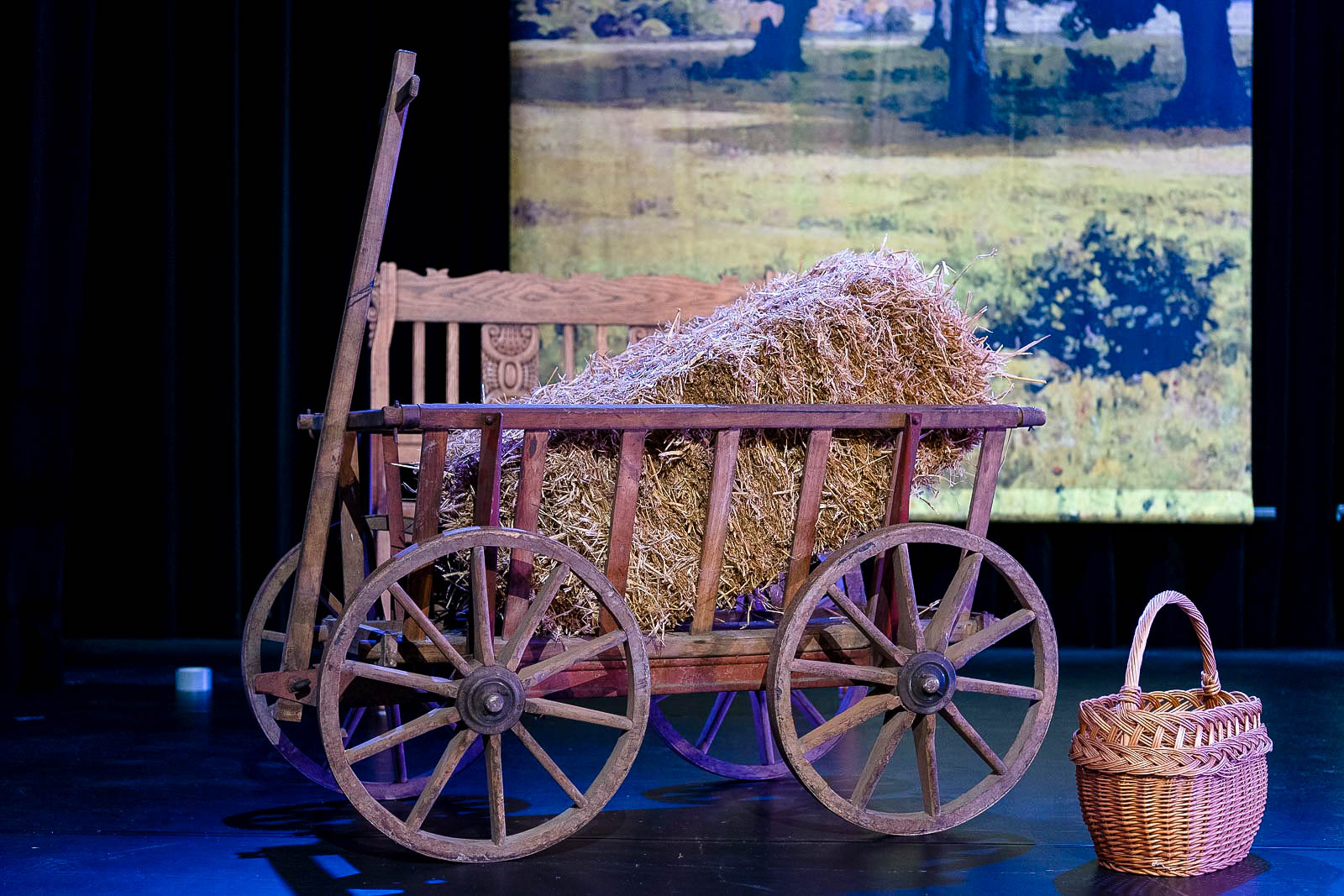 Le Papillon 2019   |   Foto - Mario Perricone