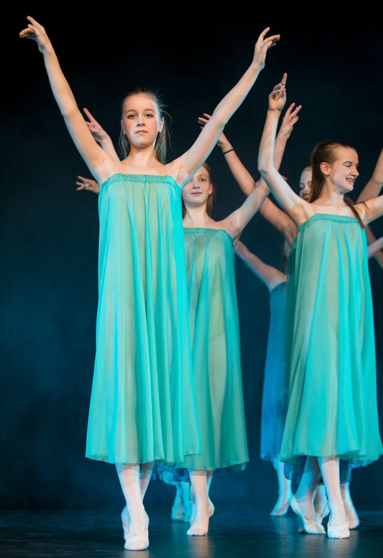 Ein Sommernachtstraum 2017   |   Foto - Mario Perricone